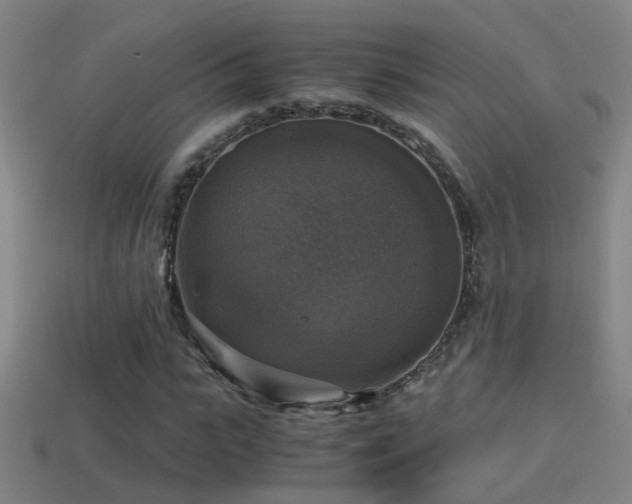 X0000114390919200910161250