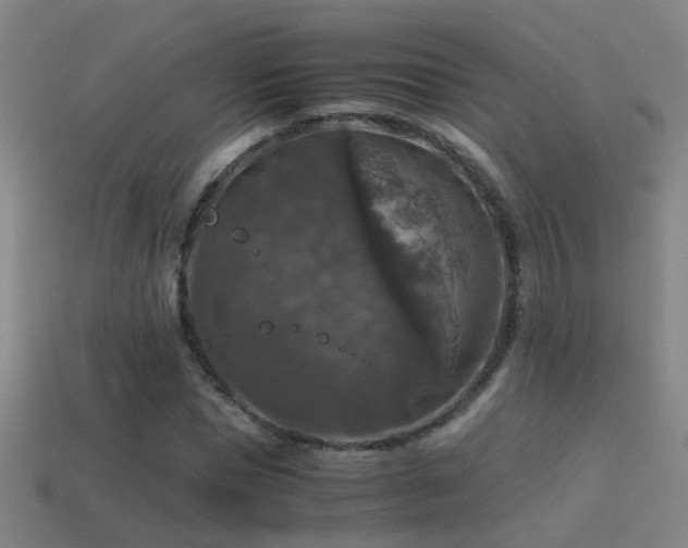 X0000114390921200910161250