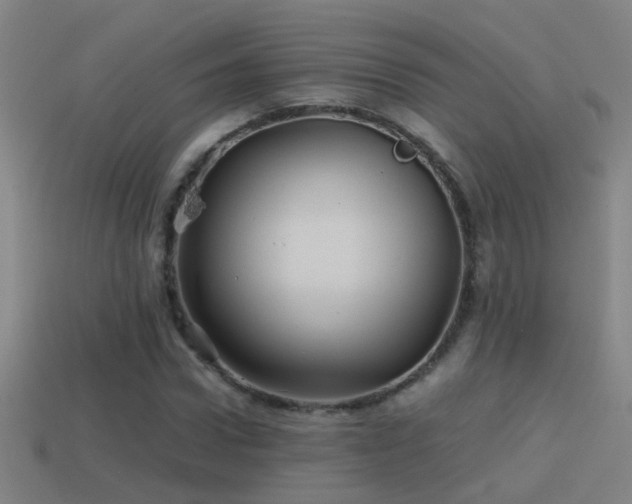 X0000114390922200910161250