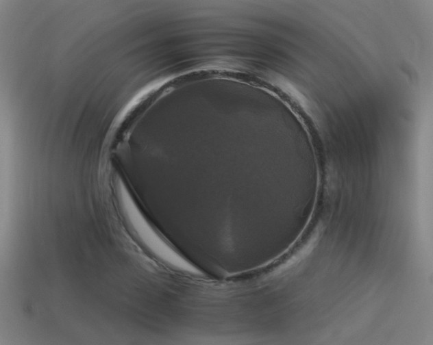 X0000114390923200910161250