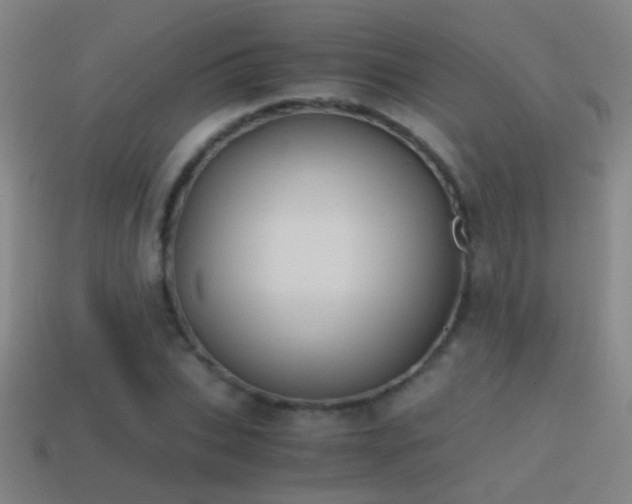X0000114390927200910161250