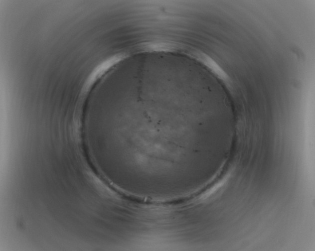 X0000114390930200910161250