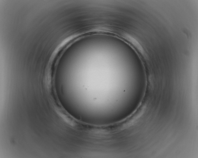 X0000114390931200910161250