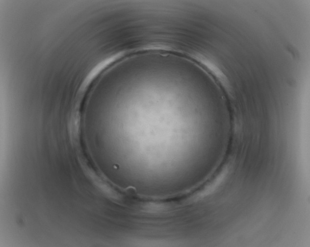 X0000114390933200910161250