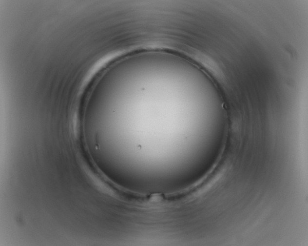 X0000114390934200910161250