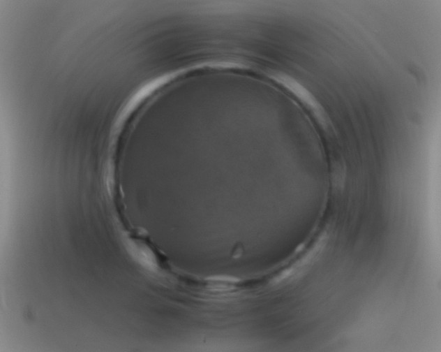 X0000114390935200910161250