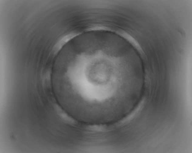X0000114390937200910161250