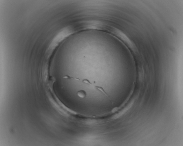 X0000114390938200910161250