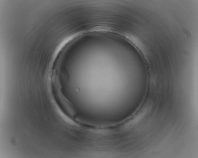 X0000114390941200910161251