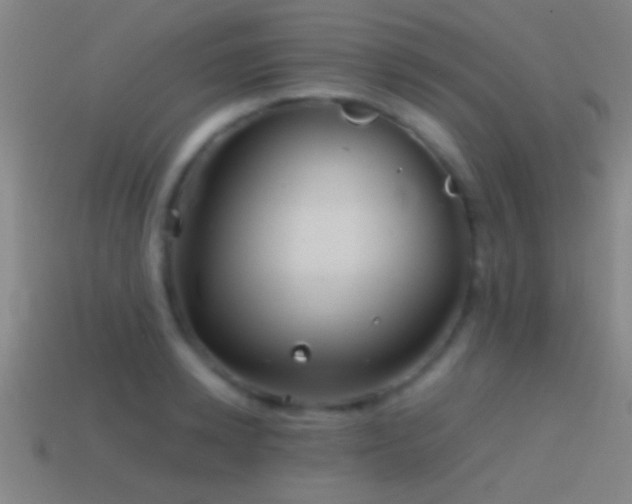 X0000114390942200910161251