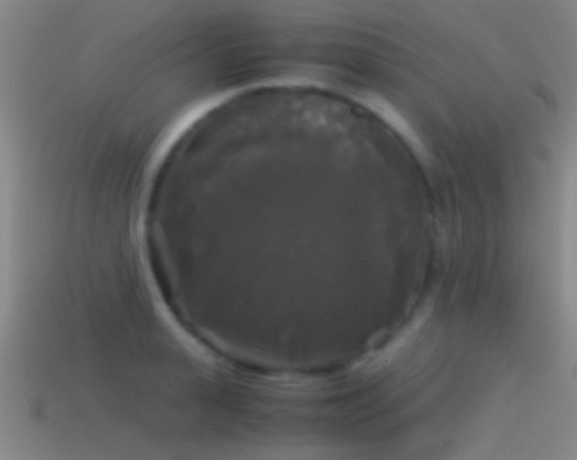 X0000114390943200910161251