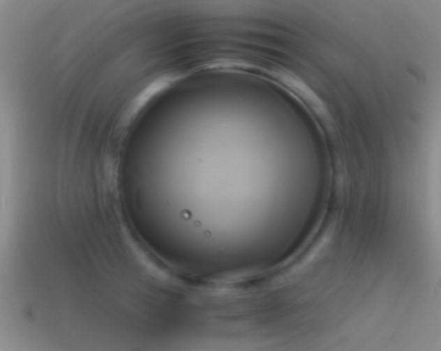 X0000114390945200910161251