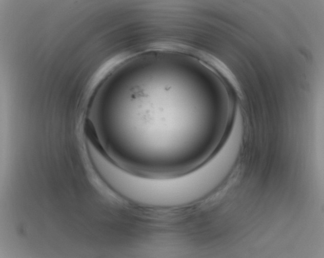 X0000114390946200910161251