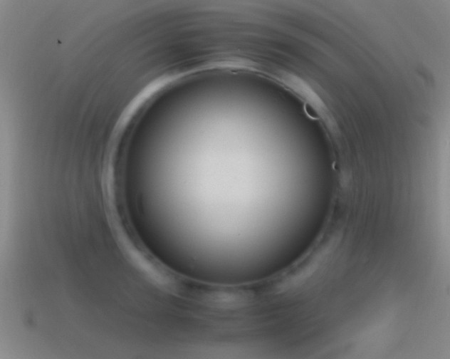 X0000114390947200910161251