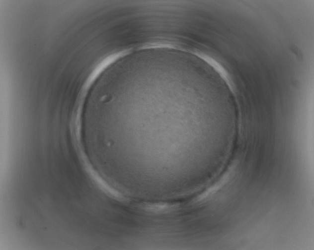 X0000114390949200910161251