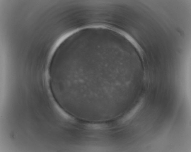X0000114390951200910161251