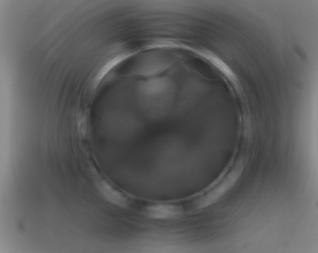 X0000114390953200910161251