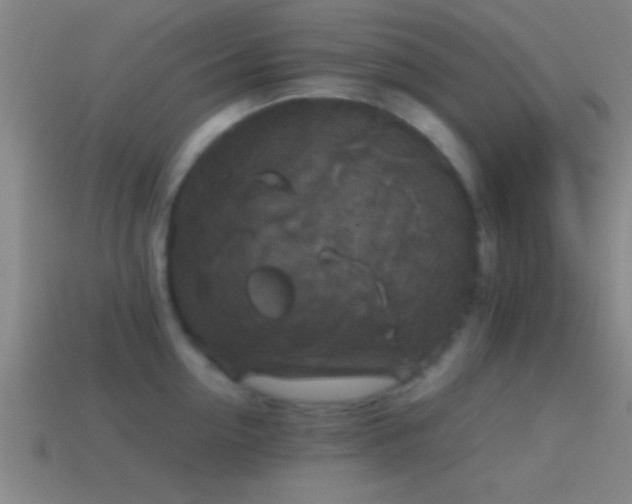X0000114390954200910161251