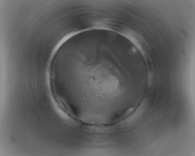 X0000114390955200910161251