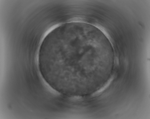 X0000114390957200910161251