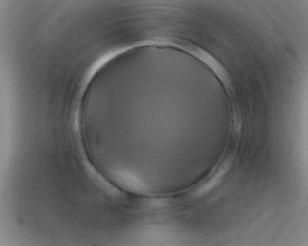 X0000114390958200910161251