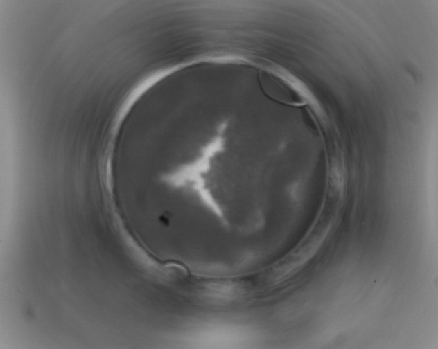 X0000114390959200910161251