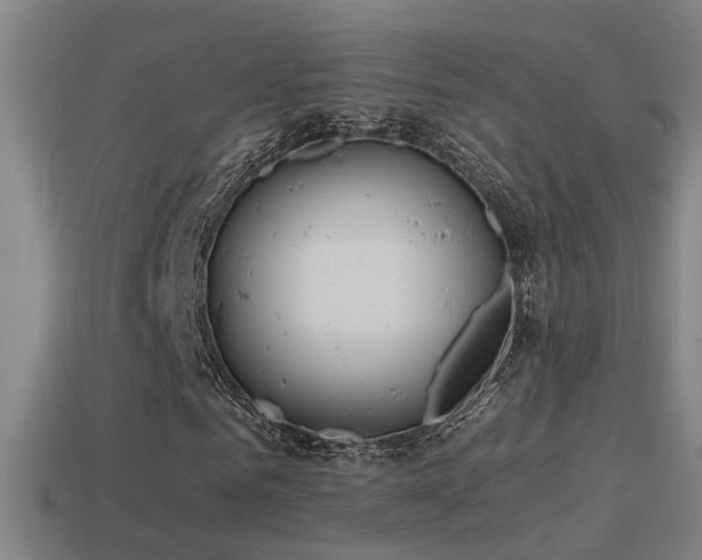 X0000114390961200910161250
