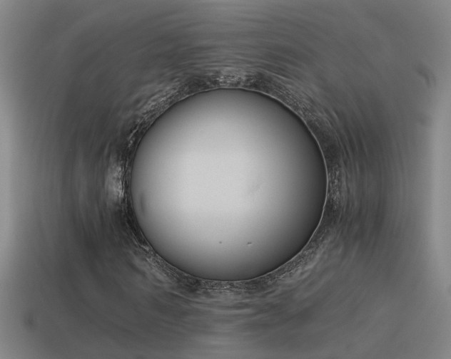 X0000114390962200910161250