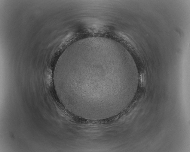 X0000114390963200910161250