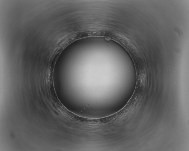 X0000114390964200910161250