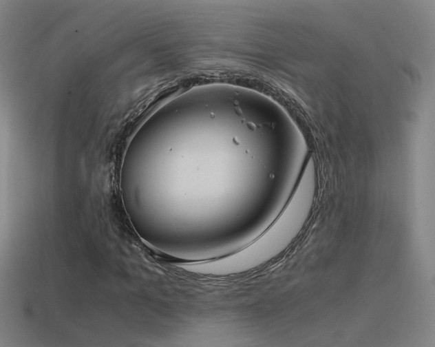 X0000114390965200910161250