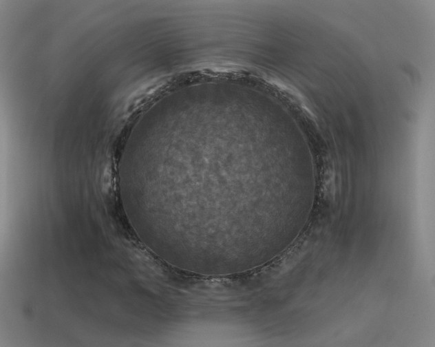 X0000114390966200910161250