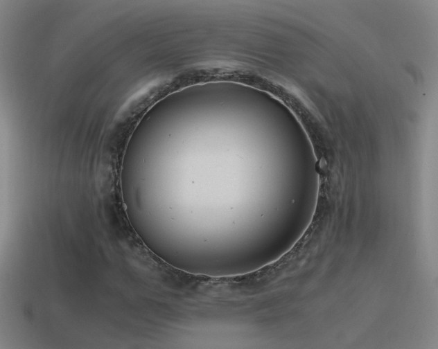 X0000114390967200910161250