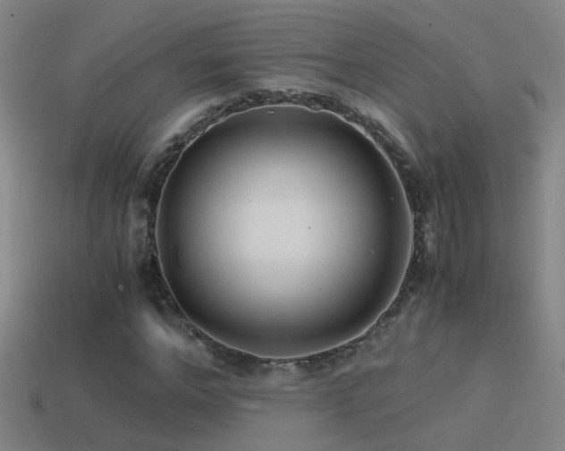 X0000114390968200910161250