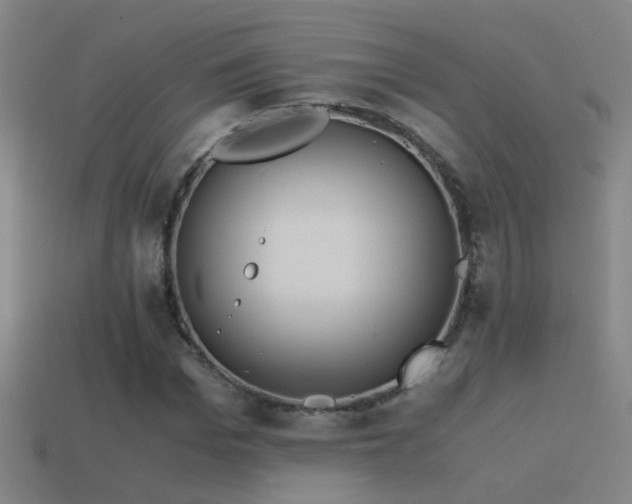 X0000114390969200910161250