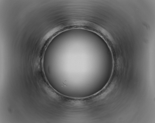 X0000114390970200910161250