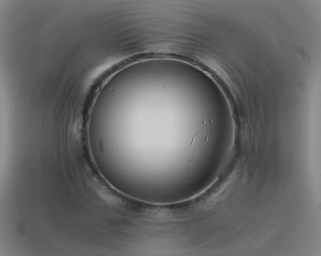 X0000114390971200910161250