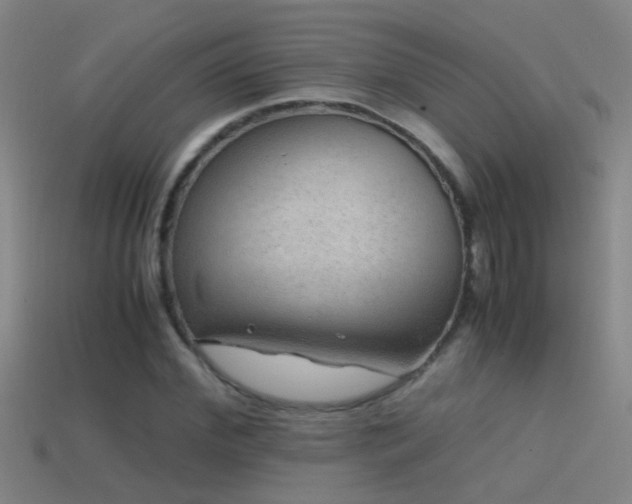X0000114390972200910161250