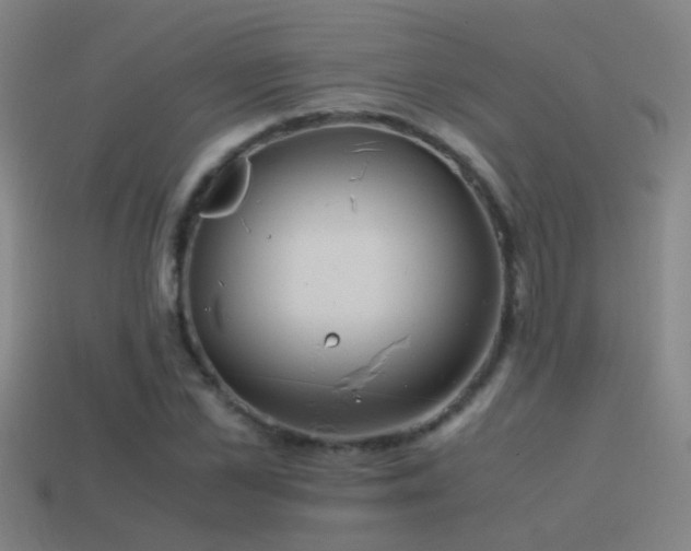 X0000114390973200910161250