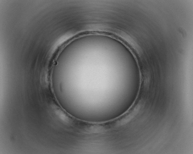 X0000114390974200910161250