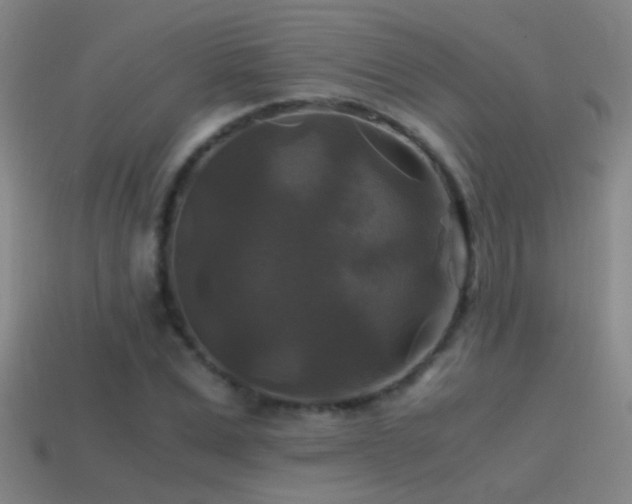 X0000114390975200910161250
