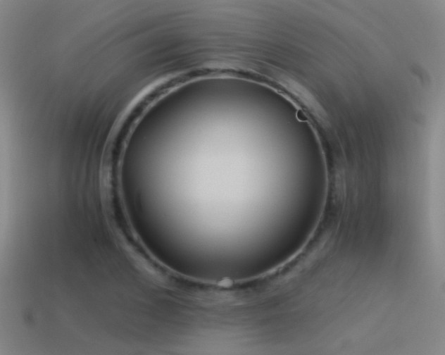 X0000114390976200910161250