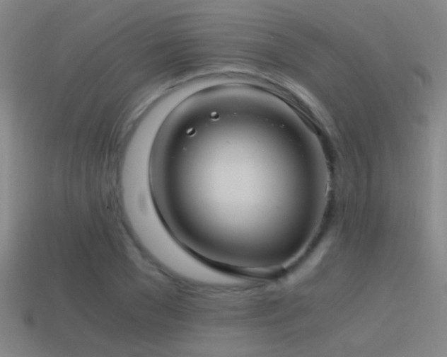 X0000114390977200910161250