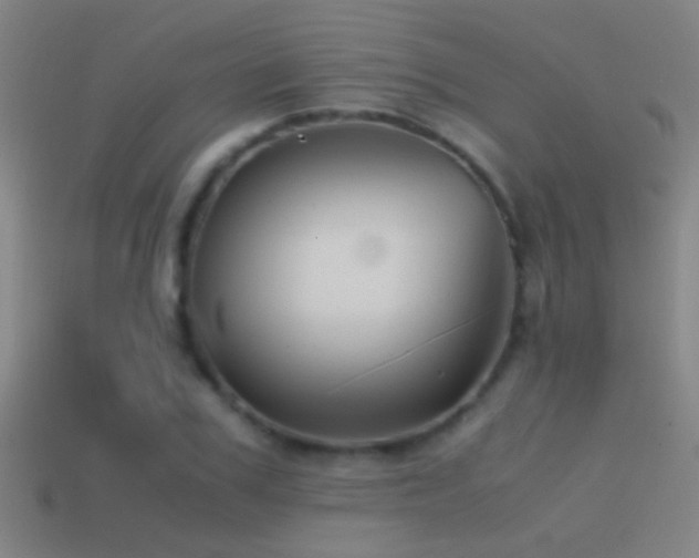 X0000114390979200910161250