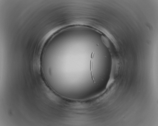 X0000114390980200910161250