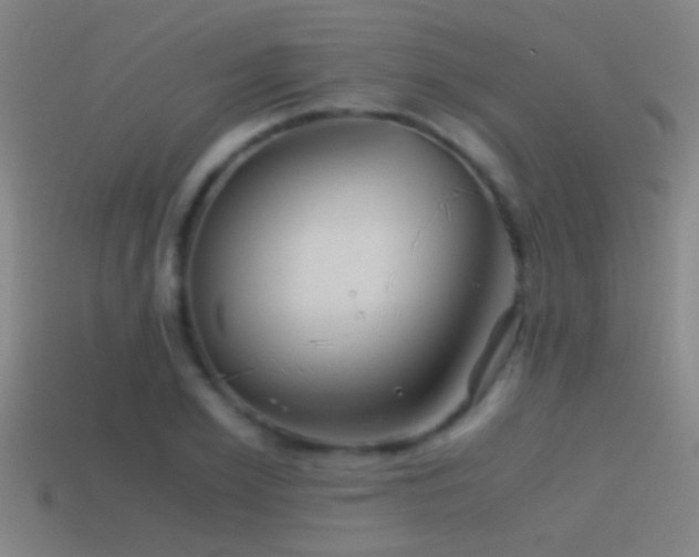 X0000114390981200910161250
