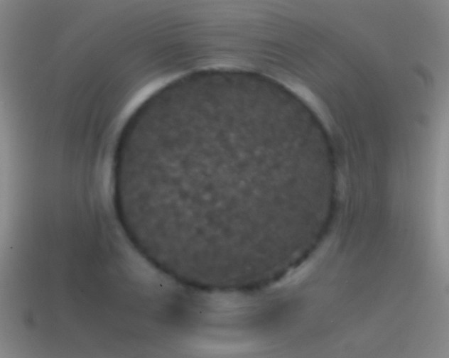 X0000114390983200910161250