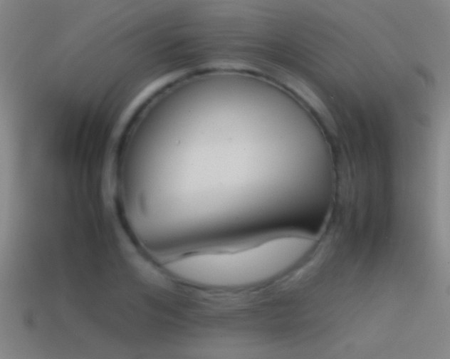 X0000114390984200910161250