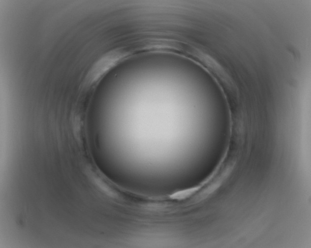 X0000114390985200910161250