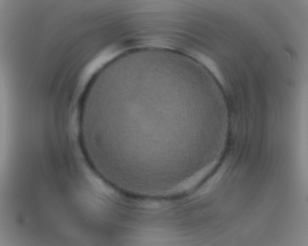 X0000114390987200910161250